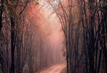 bb贝博体育：[CBA]无视莫兰德 琼斯快攻献战斧劈扣.