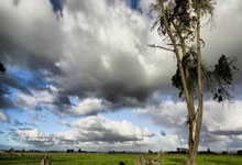 夺金×9！中国队金牌九宫格来了人民日报客户端.