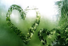 开门红！郑钦文2-0首盘抢七横扫托多尼晋级澳网次轮.