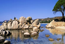 bb贝博体育：10亿美元奖金池、冠军或得1.25亿，新世俱杯有多“壕”.